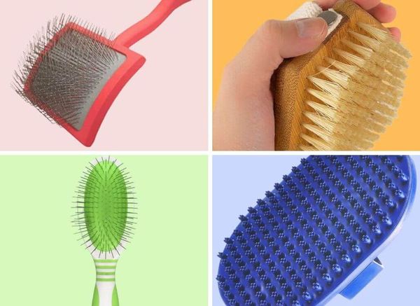 Dog Brush Types: Which One is Right for Your Furry Friend's Coat?