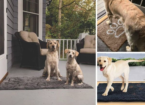 Stop Fido Tracking in the Dirt: Choose a Paw Cleaner Mat