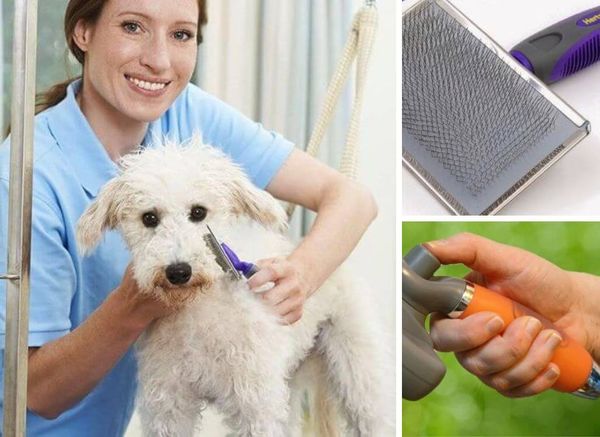 Choose the Best Dog Slicker Brush and Start Grooming Like a Pro!