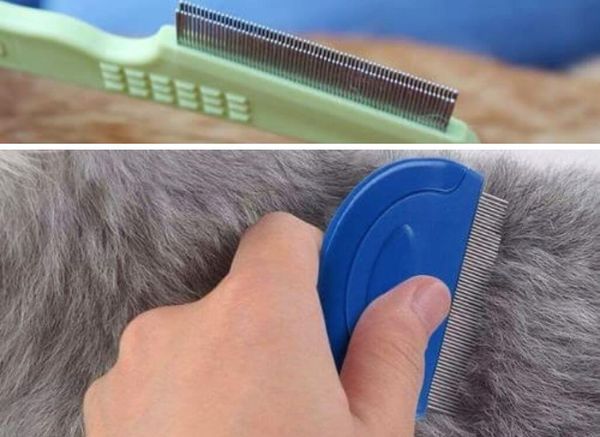 Fighting Fleas with the Top Flea Combs for Dogs!