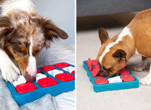 The Nina Ottosson Dog Brick: A Game-Changer for Mental Stimulation