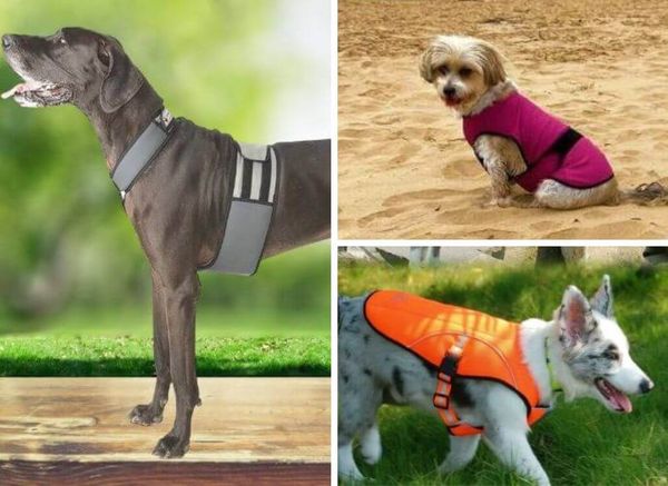 Chill Out: The Top 7 Dog Cooling Vests to Beat the Heat!